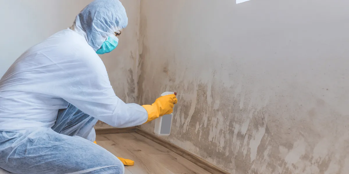 Mould Damage
